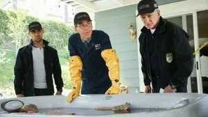 Морская полиция: Спецотдел 16 сезон 2 серия — кадр