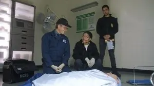 Морская полиция: Спецотдел 19 сезон 14 серия — кадр