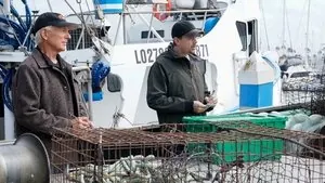 Морская полиция: Спецотдел 19 сезон 4 серия — кадр