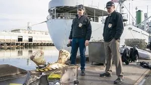 Морская полиция: Спецотдел 20 сезон 13 серия — кадр