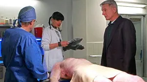 Морская полиция: Спецотдел 9 сезон 10 серия — кадр